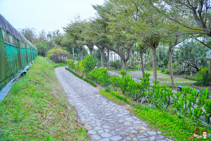 新竹旅遊 景點 多肉植物 植物園 好玩 免費入場 免費參觀 仙人掌