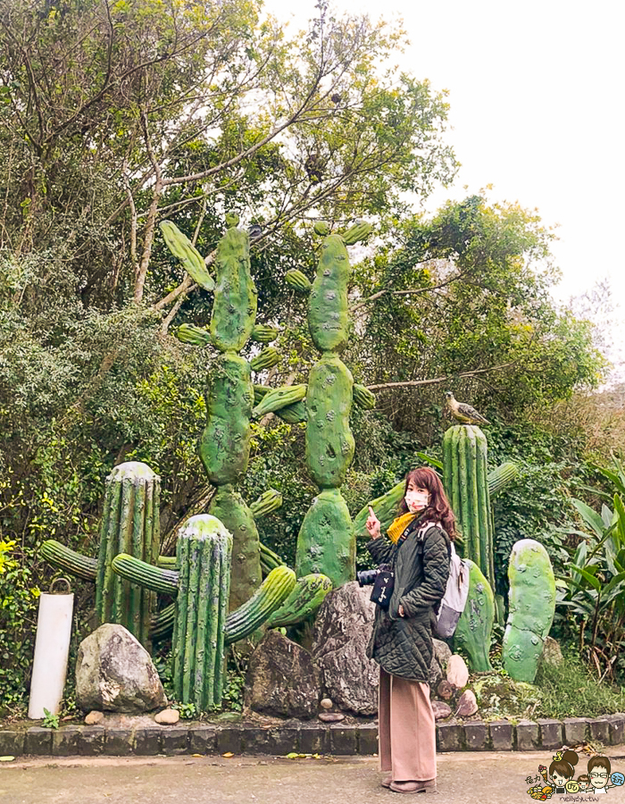 新竹旅遊 景點 多肉植物 植物園 好玩 免費入場 免費參觀 仙人掌