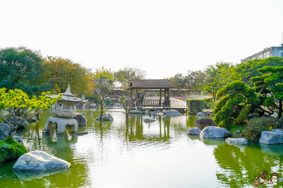 落羽松 愛心 旅遊 全台 景點 雲林 虎尾旅遊 免費