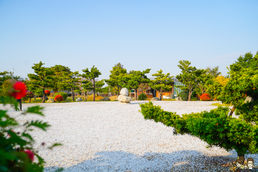 落羽松 愛心 旅遊 全台 景點 雲林 虎尾旅遊 免費