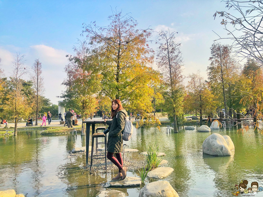 落羽松 愛心 旅遊 全台 景點 雲林 虎尾旅遊 免費