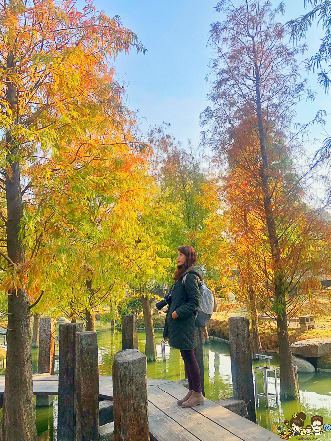 落羽松 愛心 旅遊 全台 景點 雲林 虎尾旅遊 免費