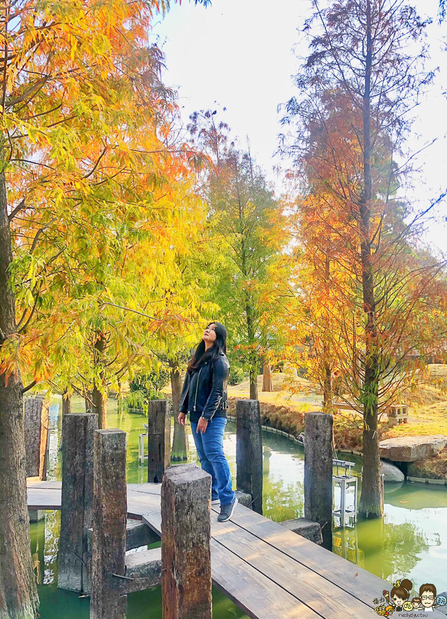 落羽松 愛心 旅遊 全台 景點 雲林 虎尾旅遊 免費