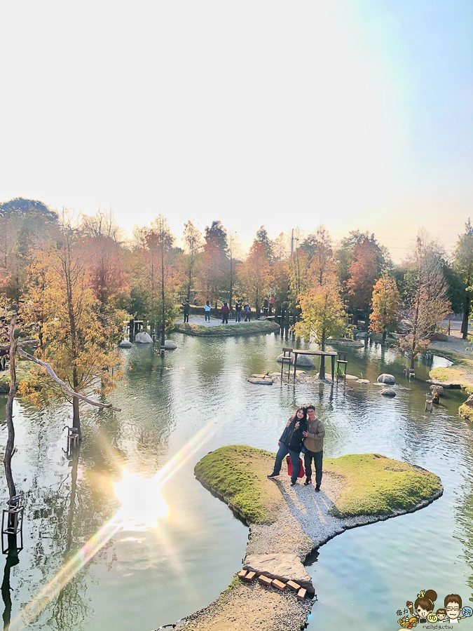 落羽松 愛心 旅遊 全台 景點 雲林 虎尾旅遊 免費