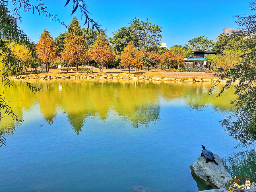 凹子底 落羽松 高雄旅遊 高雄景點 左營 凹子底捷運