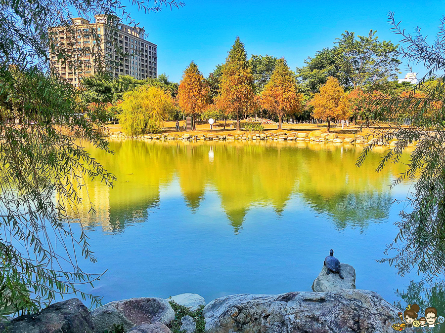 凹子底 落羽松 高雄旅遊 高雄景點 左營 凹子底捷運