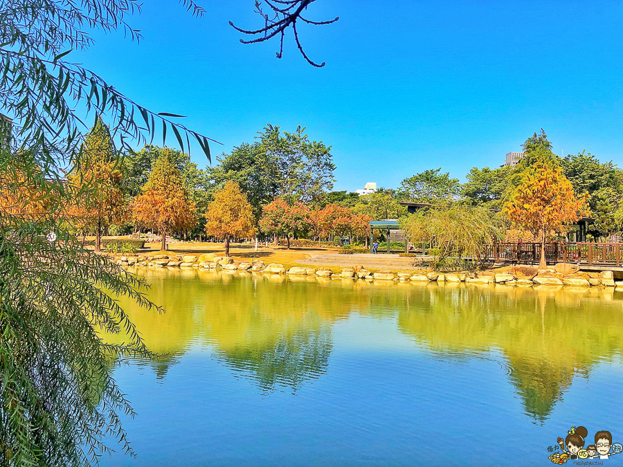 凹子底 落羽松 高雄旅遊 高雄景點 左營 凹子底捷運