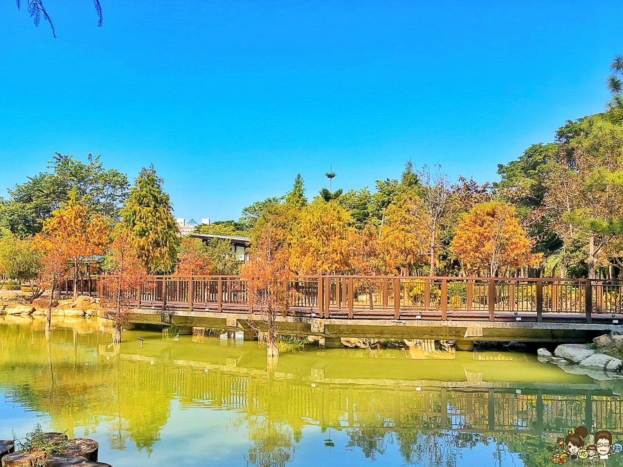 凹子底 落羽松 高雄旅遊 高雄景點 左營 凹子底捷運