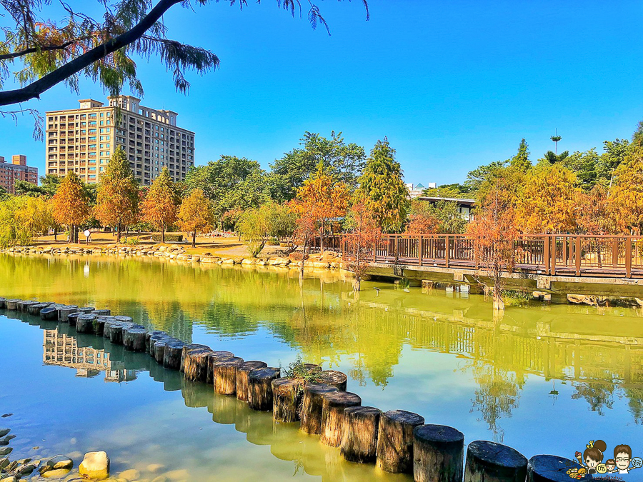 凹子底 落羽松 高雄旅遊 高雄景點 左營 凹子底捷運