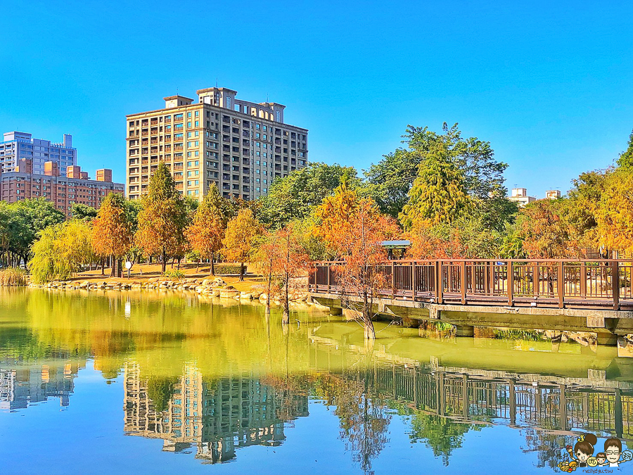 凹子底 落羽松 高雄旅遊 高雄景點 左營 凹子底捷運