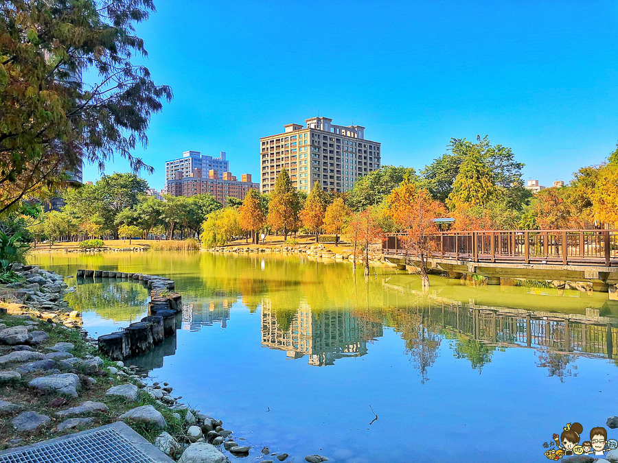 凹子底 落羽松 高雄旅遊 高雄景點 左營 凹子底捷運