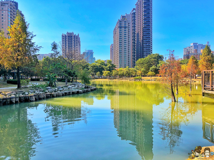 凹子底 落羽松 高雄旅遊 高雄景點 左營 凹子底捷運