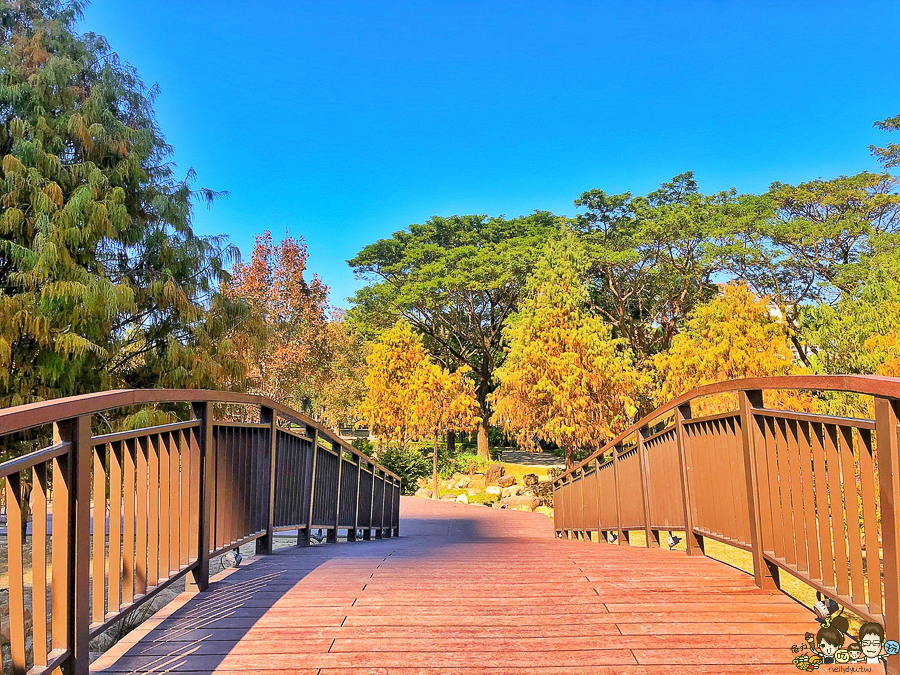 凹子底 落羽松 高雄旅遊 高雄景點 左營 凹子底捷運