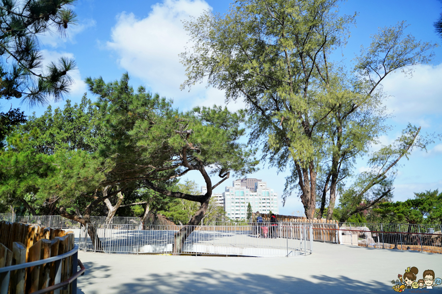 新竹景點 新竹動物園 親子旅遊 推薦旅遊 旅遊必訪