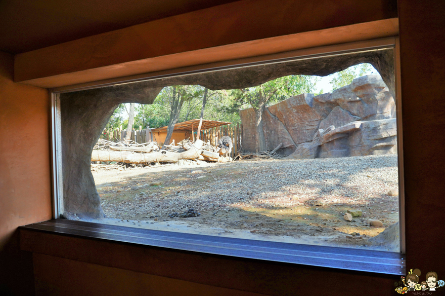 新竹景點 新竹動物園 親子旅遊 推薦旅遊 旅遊必訪