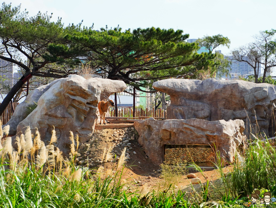 新竹景點 新竹動物園 親子旅遊 推薦旅遊 旅遊必訪