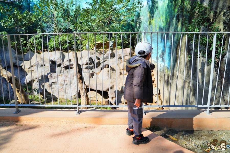 新竹景點 新竹動物園 親子旅遊 推薦旅遊 旅遊必訪