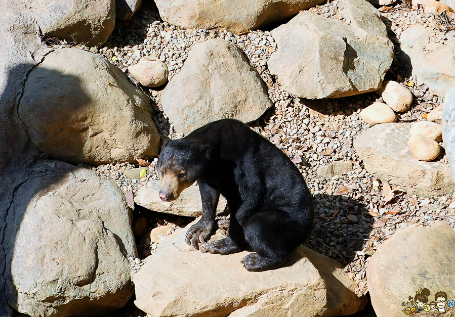 新竹景點 新竹動物園 親子旅遊 推薦旅遊 旅遊必訪