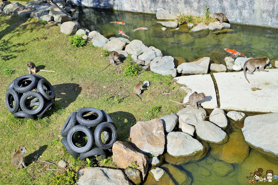 新竹景點 新竹動物園 親子旅遊 推薦旅遊 旅遊必訪