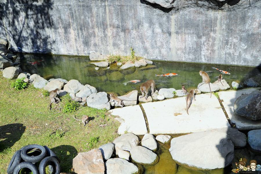 新竹景點 新竹動物園 親子旅遊 推薦旅遊 旅遊必訪