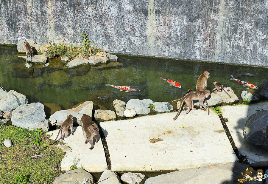 新竹景點 新竹動物園 親子旅遊 推薦旅遊 旅遊必訪