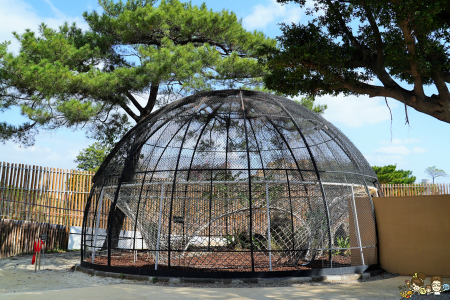 新竹景點 新竹動物園 親子旅遊 推薦旅遊 旅遊必訪