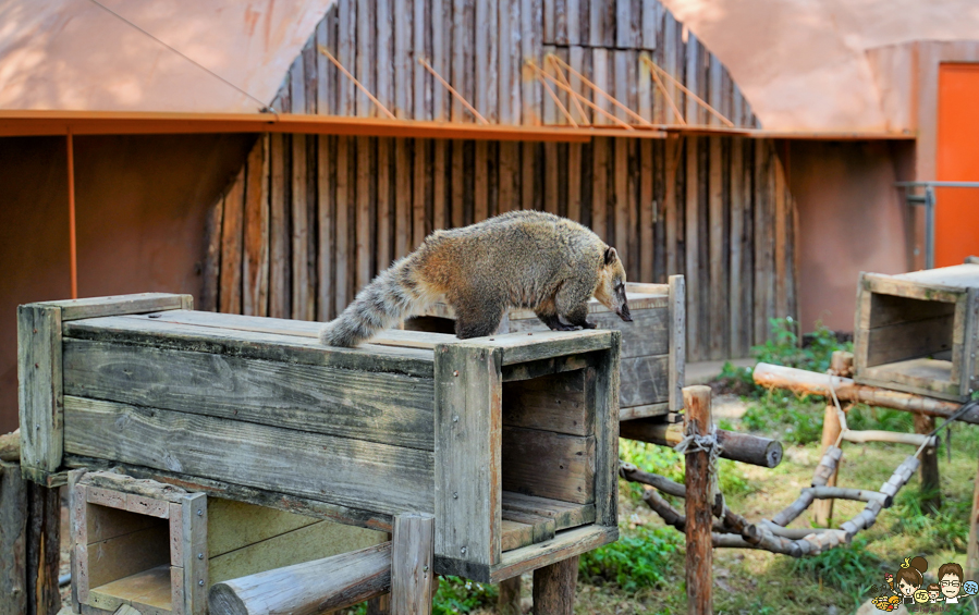 新竹景點 新竹動物園 親子旅遊 推薦旅遊 旅遊必訪