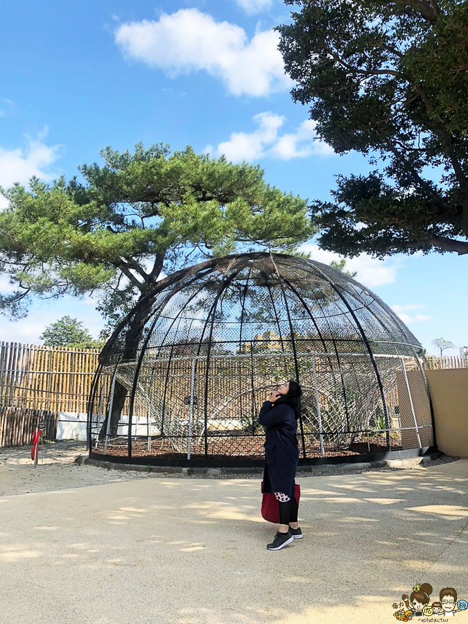 新竹景點 新竹動物園 親子旅遊 推薦旅遊 旅遊必訪