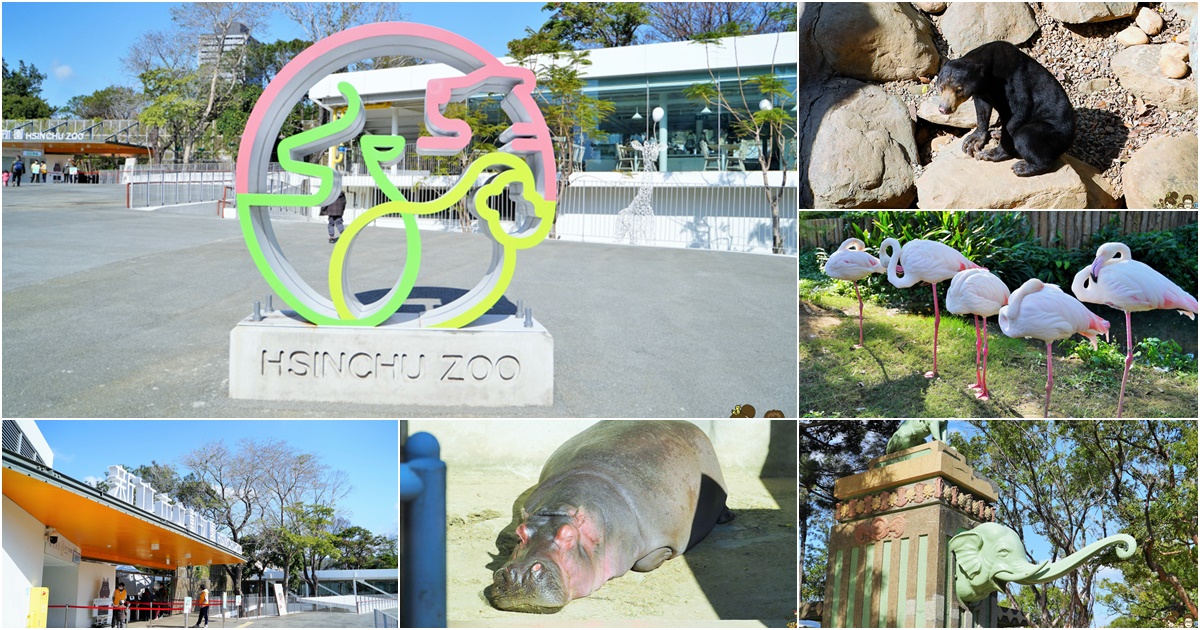 新竹景點 新竹動物園 親子旅遊 推薦旅遊 旅遊必訪