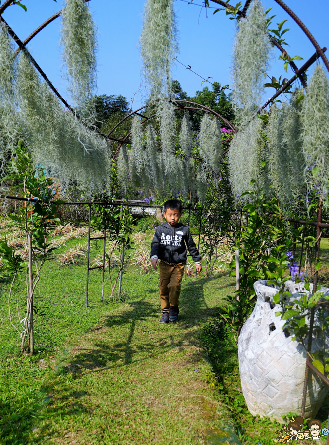 屏東旅遊 休閒農場 diy 鳳梨 屏東好玩 親子旅遊 互動 