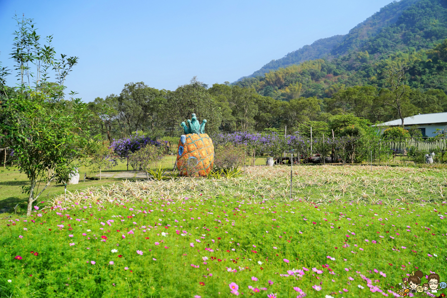 屏東旅遊 休閒農場 diy 鳳梨 屏東好玩 親子旅遊 互動 