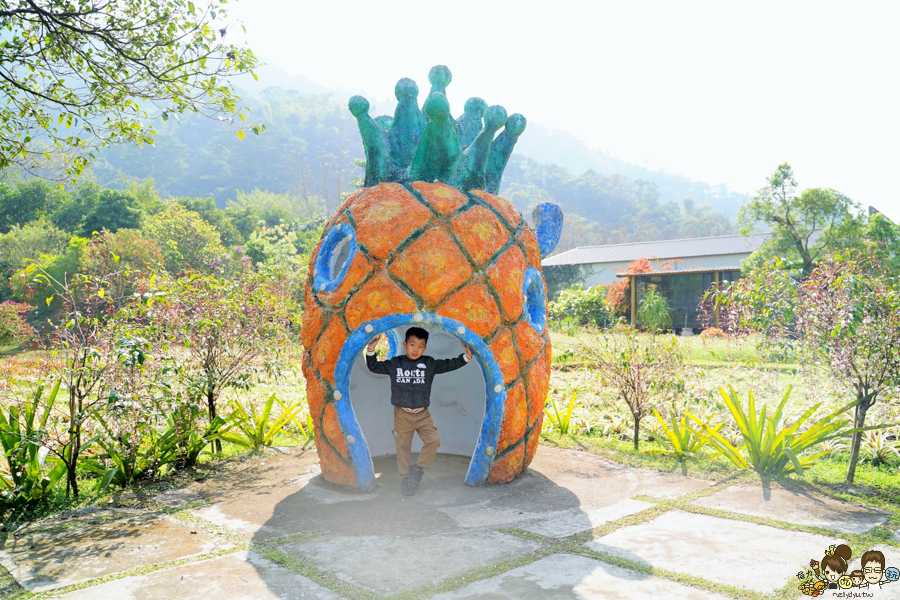 屏東旅遊 休閒農場 diy 鳳梨 屏東好玩 親子旅遊 互動 