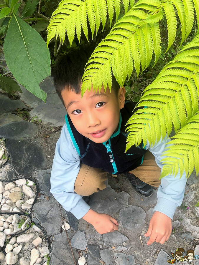 旁聽席 三地門 景觀 屏東 旅遊 戶外 休閒 網美景點 下午茶 咖啡廳 山上餐廳