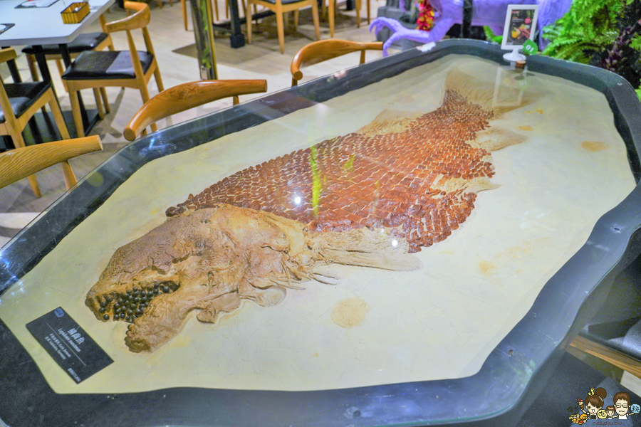 愛雨林餐廳 主題餐廳 親子 高雄特色 景點 百貨商圈 美食 在地美食