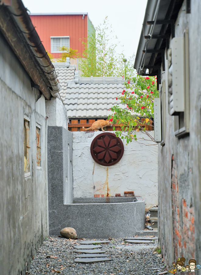 勝利星村 眷村 懷舊 古早味 鐵窗 屏東景點 屏東旅遊 屏東市熱點 打卡 網美