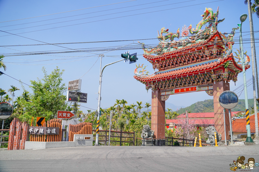 日月潭 賞櫻 櫻花 三太子 南投景點 好拍 好玩 免費 旅遊