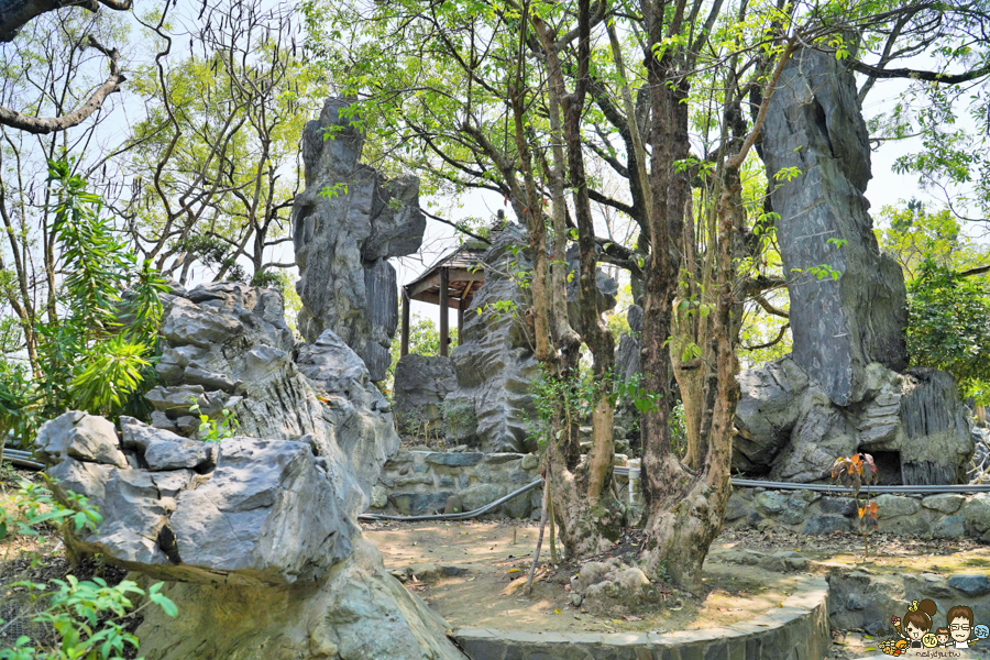 楠西萬佛寺|台南旅遊景點、台版吳哥窟.免費玩樂 台南好玩 親子 踏青 旅遊