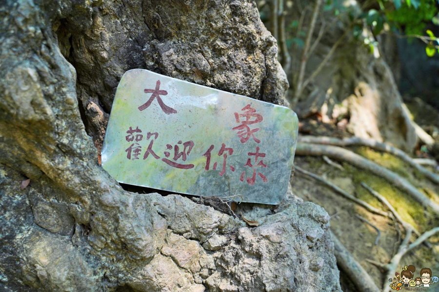 楠西萬佛寺|台南旅遊景點、台版吳哥窟.免費玩樂 台南好玩 親子 踏青 旅遊