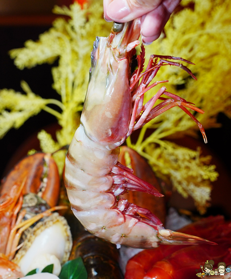 火鍋 花花世界 高雄秘境 美食 鍋物 龍蝦 海鮮 肉食控 巷弄 北高雄美食 聚餐 捷運美食