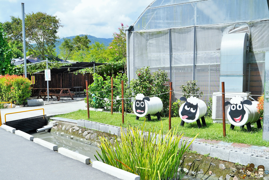 張美阿嬤農場 宜蘭景點 宜蘭旅遊 動物園 水豚君 互動 草泥馬 梅花鹿 餵食