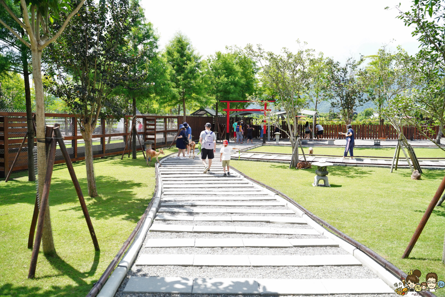 張美阿嬤農場 宜蘭景點 宜蘭旅遊 動物園 水豚君 互動 草泥馬 梅花鹿 餵食