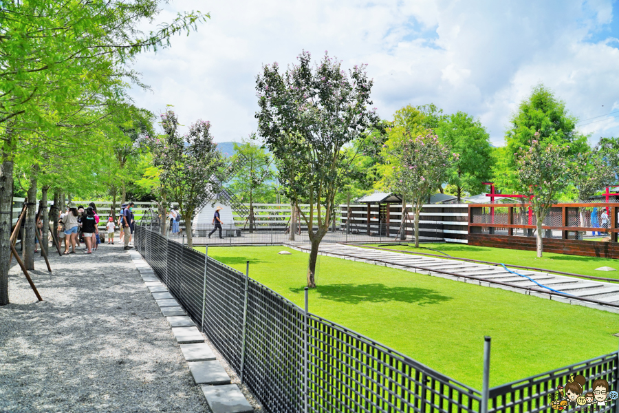 張美阿嬤農場 宜蘭景點 宜蘭旅遊 動物園 水豚君 互動 草泥馬 梅花鹿 餵食