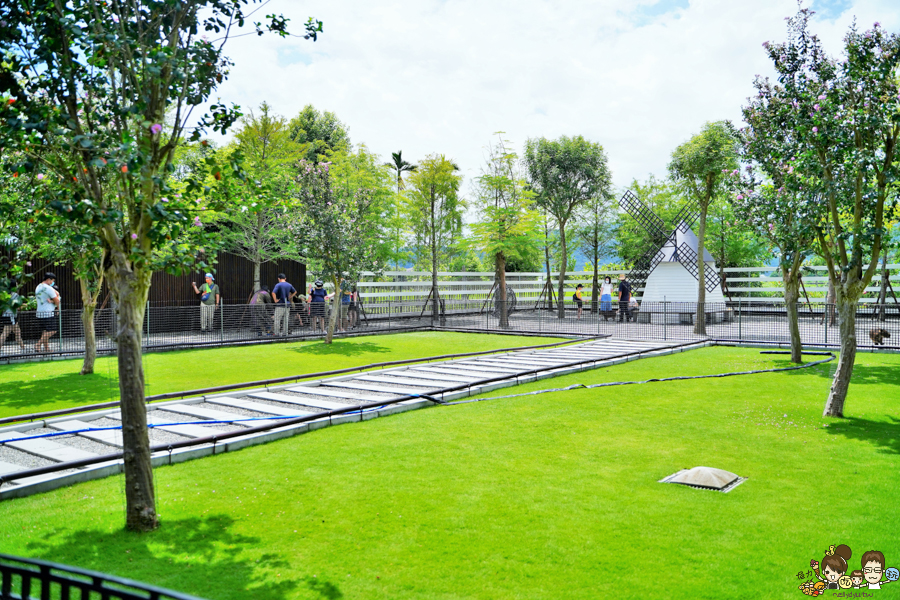 張美阿嬤農場 宜蘭景點 宜蘭旅遊 動物園 水豚君 互動 草泥馬 梅花鹿 餵食