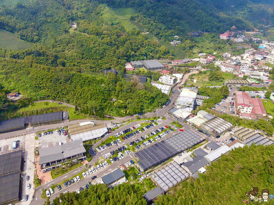 嘉義 梅山 太平雲梯 空中步道 嘉義景點 親子旅遊 太平老街 空氣圖書館