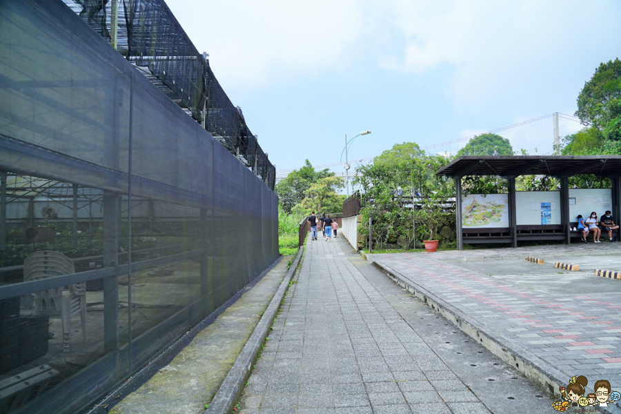 嘉義 梅山 太平雲梯 空中步道 嘉義景點 親子旅遊 太平老街 空氣圖書館