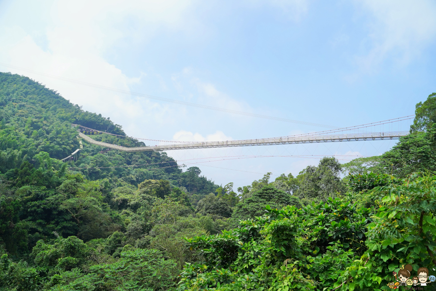 嘉義 梅山 太平雲梯 空中步道 嘉義景點 親子旅遊 太平老街 空氣圖書館