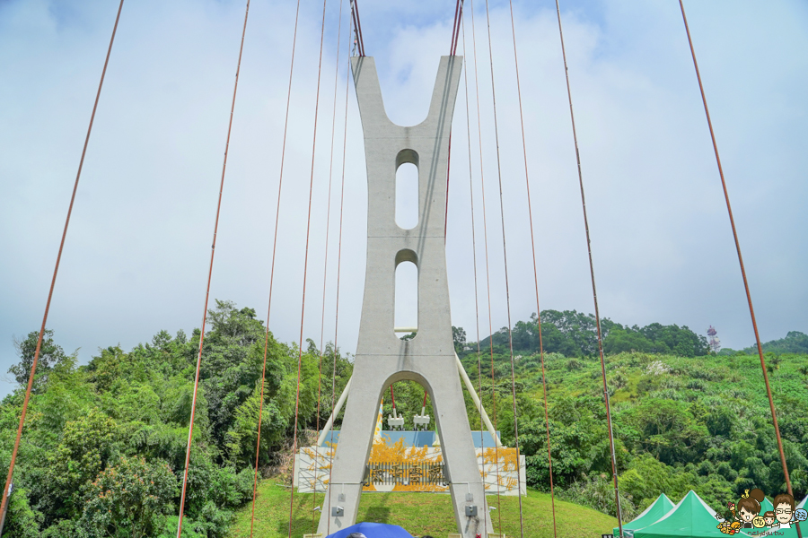 嘉義 梅山 太平雲梯 空中步道 嘉義景點 親子旅遊 太平老街 空氣圖書館