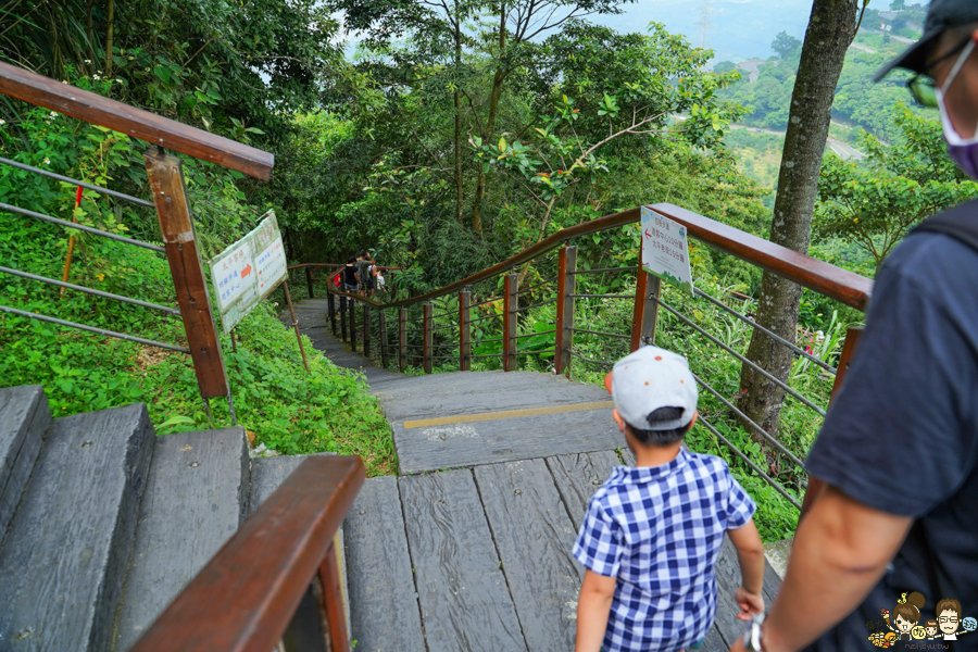 嘉義 梅山 太平雲梯 空中步道 嘉義景點 親子旅遊 太平老街 空氣圖書館