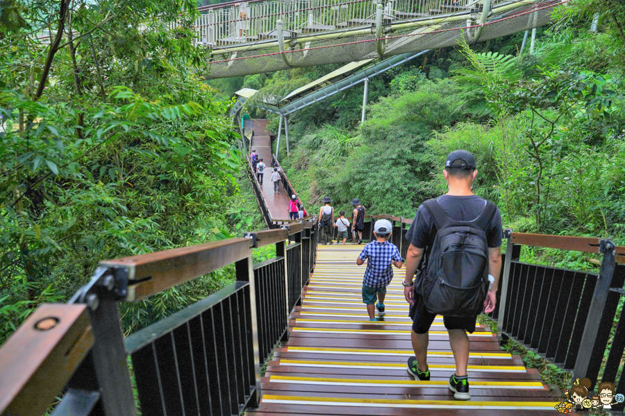 嘉義 梅山 太平雲梯 空中步道 嘉義景點 親子旅遊 太平老街 空氣圖書館