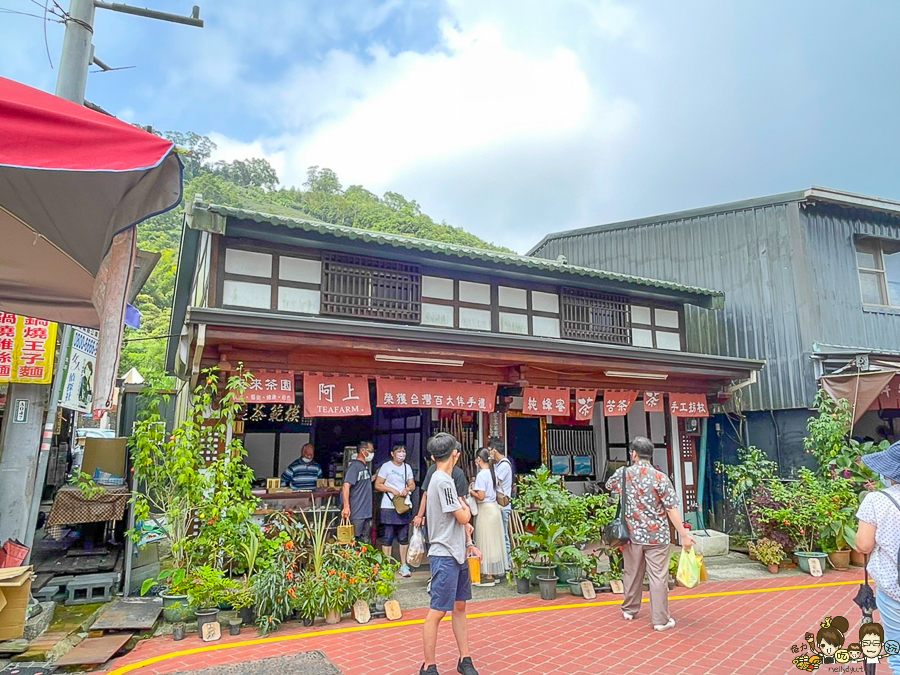 嘉義 梅山 太平雲梯 空中步道 嘉義景點 親子旅遊 太平老街 空氣圖書館